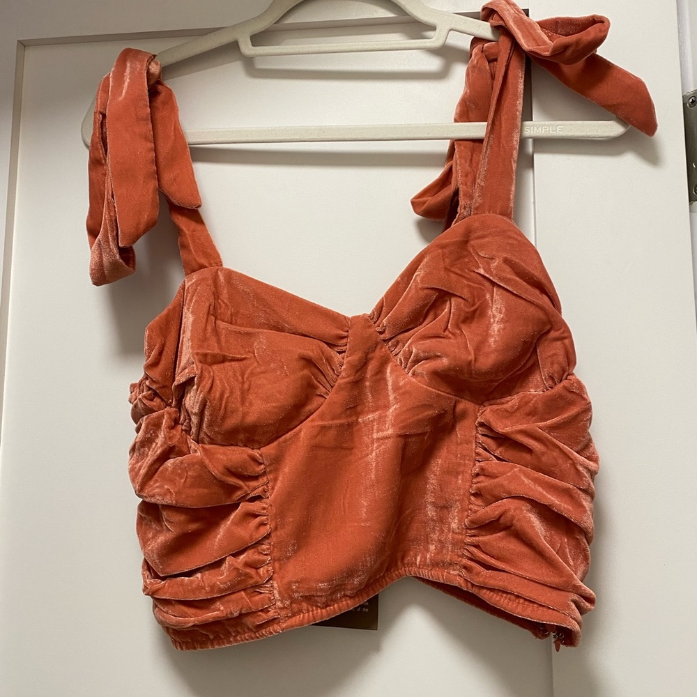 Anthropologie Forever the Girl Rose Velour Crop Top
